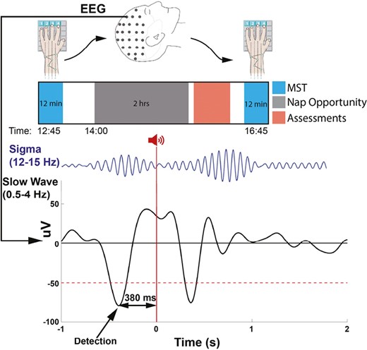 Experimental protocol and timeline. Top: Participants trained on the MST prior to a nap and were tested after waking. Bottom: During all naps, SOs were detected at the peak of the downstate. In the Upstate stimulation condition 50 ms burst of pink noise was delivered 380 ms after SO detection (0 s), targeting the upstate of the detected SO . In this schematic, the stimulus prolonged the ongoing SO and evoked a subsequent SO and a coupled spindle.