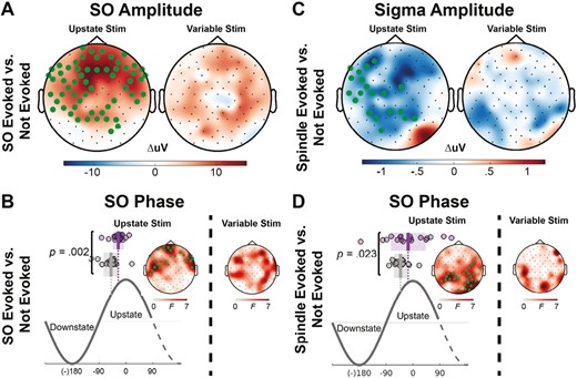 Amplitude and phase differences between stimuli that did and did not evoke an oscillation. (A) Topographical maps of the difference in SO amplitude at the time of stimulus delivery for the Upstate and Variable-state stimulation conditions for stimuli that evoked and failed to evoke another SO. Electrodes with a cluster-corrected p < .05 are highlighted. In the Upstate condition, stimuli delivered at higher SO amplitudes were more likely to evoke another SO. (B) More specifically, stimuli that evoked a SO (purple circles; shading is SEM; vertical lines show the mean phase) were delivered closer to the SO peak during the rising phase of the SO upstate. (C) In contrast, in the Upstate condition, stimuli that evoked a spindle were delivered at a lower sigma amplitude and (D) closer to the SO peak during the rising phase of the SO upstate.