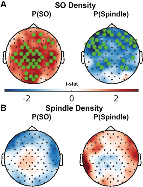 Effect of oscillation activity during the Detection-only nap on responsiveness to stimulation. Topographical maps of the correlation between (A) SO and (B) spindle density during the Detection-only session and the probability of evoking SOs (left) or spindles (right) with Upstate stimulation. Electrodes with a cluster-corrected p < .05 are highlighted .