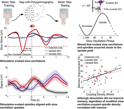 Graphical Abstract