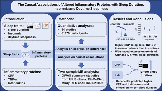Graphical Abstract