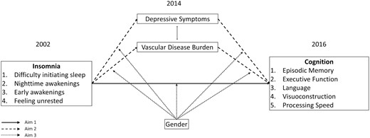 Conceptual model.
