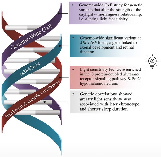 Graphical Abstract