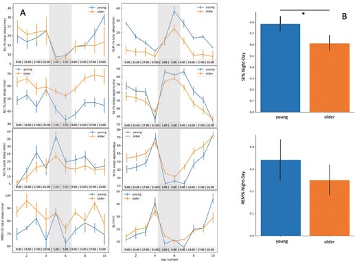 (A) From the upper left to bottom right panel, time course of N1, N2, N3, NREM, REM (% of total sleep time), sleep efficiency, wake (SE, W, expressed as % of sleep opportunity) and sleep latency (SL) across the nap opportunities over the 40-h protocol (S1–S10), according to age group. The gray part represents the biological night for each participant. The hours in the bottom line represent the schedule of a participant going to bed at 23:00 and waking up at 7:00. (B) Day–night difference in SE and REM% for the young and the aged group.