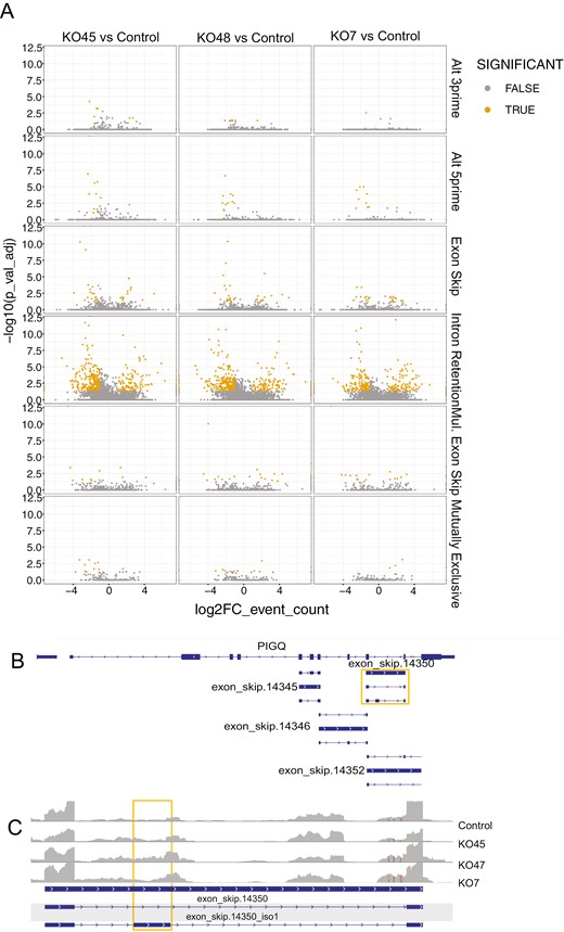 Global splicing comparison of each mutant to control NPCs. Volcano plot showing differential splicing events for each event class. X-axis: log (FC) event count, Y-axis: log (adj p. value).