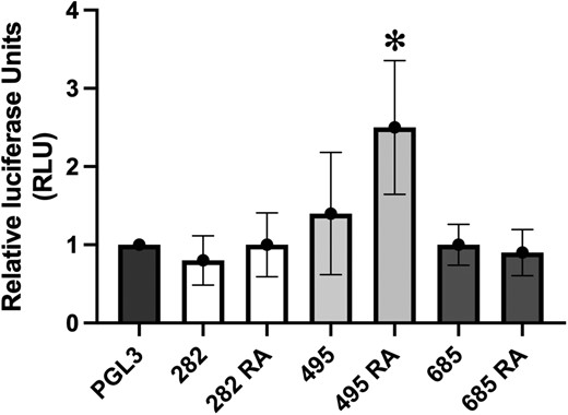 Luciferase reporter assay determines increased regulatory activity with the risk allele of SNP rs3752495. Y-axis represents relative luciferase fluorescence units normalized to renilla internal control and pGL3 promoter-only vector. X-axis represents the various experimental conditions—pGL3: promoter only vector, 282: promoter vector with enhancer construct containing non-risk allele of SNP rs9932282 (G), 282 RA: promoter vector with enhancer construct containing risk allele (RA) of SNP rs9932282 (C), 495: promoter vector with enhancer construct containing non-risk allele of SNP rs3752495 (T), 495 RA: promoter vector with enhancer construct containing risk allele (RA) of SNP rs3752495 (C), 685: promoter vector with enhancer construct containing non-risk allele of SNP rs8062685 (C), 685 RA: promoter vector with enhancer construct containing risk allele (RA) of SNP rs8062685 (G).