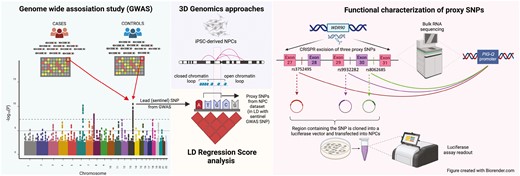 Graphical Abstract