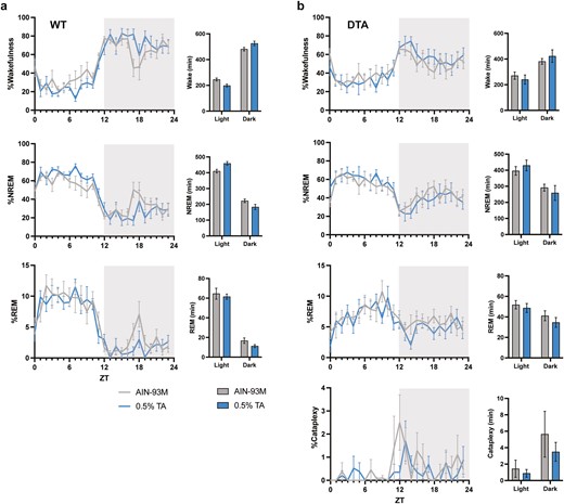 Behavioral states in a 24-hour period. Percentage time spent in wake, NREM, REM, and DREM across light–dark cycle in (A) WT and (B) DTA mice. The gray and blue lines represent the group fed with control AIN-93M diet or 0.5% TA-supplemented diet, respectively. One WT mouse was excluded from scoring due to the EEG noises/artifacts. All data are presented as mean ± SEM (n = 7 for WT mice and n = 8 for DTA mice). Data were compared between the treatments over 24 hours (in 12-hour bins) by two-way repeated measures ANOVA. *p < .05.