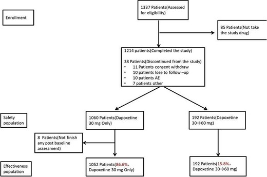 Flow chart of the study.