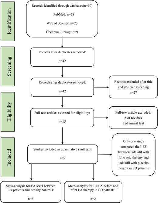 Flowchart of the studies selected for the meta-analysis.