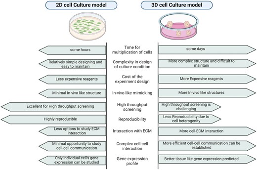 Comprehensive comparison between 2D and 3D cell culture.
