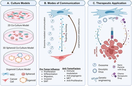 Graphical Abstract