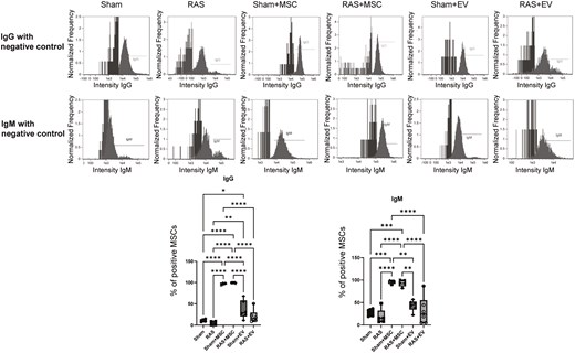 Quantification of anti-human IgG and IgM antibodies in the systemic circulation of mice. MSC-treated groups demonstrated significantly increased circulating anti-human IgG and IgM antibodies. *P < .05, **P < .01, ***P < .001, ****P < .001. One-way ANOVA with Tukey’s multiple comparison test, n = 4-6/group.