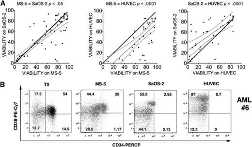 One-week coculture on mesenchymal-related MS-5 cells promoted better AML cell viability and better retained the initial phenotype compared with osteoblast-derived SaOS-2 and endothelial-like HUVEC. (A): Viability comparison, MS-5 and sample 12 (57 samples), MS-5 and HUVEC (38 samples), and SaOS-2 and HUVEC (43 samples). Putative equivalent cell viability is represented by the bold black line. The thin black line shows experimentally derived simple linear regression trend line with the 95% confidence band (dashed lines). A paired t test was applied for each comparison. (B): Fluorescence-activated cell sorting plot of CD34 and CD38 expression profiles of a CD34+ representative AML sample (sample 6) just after thawing (left panel) or after 1-week coculture with MS-5, SOS-2, or HUVECs. A 4′,6-diamidino-2-phenylindole-negative/Annexin V-negative population was used for analysis. Numbers represent the percentages of cells within each region. Abbreviations: AML, acute myeloid leukemia; HUVEC, human umbilical vein endothelial cell.