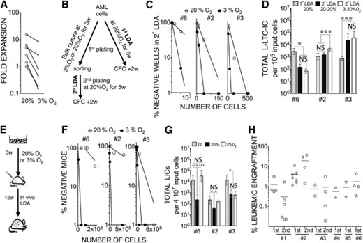 Low oxygen concentration favors long-term in vitro maintenance of leukemia-initiating cells (LICs) over 3 weeks. (A): 3% O2 reduced AML expansion. AML samples were cocultured for 3 weeks with MS-5+3GT at 20% O2 or 3% O2 in parallel. Data shown represent fold expansion of five AML samples (samples 2, 7, 10, 3, and 6) determined in 20% O2 or 3% O2. ∗, p < .05 in paired t test. (B): Flowchart illustrates the experiment design for (C) and (D). (C): Replating potential at week 3. Cells from AML samples 6, 2, and 3 were cocultured at 20% O2 or 3% O2 for 3 weeks and then sorted for CD45+ cells and replated in 2° LDA for an additional 5 weeks at 20% O2. (D): Total L-LTC-IC numbers calculated from 1° LDA and 2° LDA after 3 weeks of coculture at 20% O2 or 3% O2 for samples 6, 2, and 3. ∗, p < .05; ∗∗∗, p < .001; NS, p > .05 (90% confidence interval is displayed). (E): Flowchart illustrates the experiment design for (F) and (G). (F): In vivo LDA of cells from AML samples 6, 2, and 3 recovered from each coculture and injected at different doses into NOD/SCID interleukin-2Rγ common chain null mice (for sample 6, n = 24, and sample 3, n = 42) or NOD/SCID/β2-microglobulin null mice (for sample 2, n = 52) to calculate the frequency of LICs. (G): Total LIC counts (90% confidence interval) determined for cells from samples 6, 2, and 3 for uncultured (T0) or cocultured cells for 3 weeks at 20% O2 or 3% O2. ∗, p < .05; NS, p > .05. For (D) and (G), data presented take into account the fold expansion in culture. (H): Primary and secondary leukemic engraftment in NOD/SCID/β2-microglobulin null mice of AML samples cocultured for 3 weeks. The data show the percentage of human leukemic chimerism in primary recipient mice (first) for six samples (samples 1, 2, 3, 4, 5, and 6) and secondary recipients (second) for samples 1, 2, and 3. Plain lines represent mean levels of leukemic cell engraftment in each group. Each symbol represents a single transplanted mouse. Abbreviations: 1° LDA, LDA from post-thawed cells; 2° LDA, LDA from cultured cells; AML, acute myeloid leukemia; CFC, colony forming cells; LDA, limiting dilution analysis; L-LTC-IC, leukemic long-term culture initiating cell; NS, not significant; w, weeks.