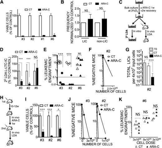 Chemoresistant LIC maintenance can be assessed through in vitro replating potential. (A): Histograms represent the percentage of viable CD45+ cells counts at 1 week (±SEM ; n = 3) for four AML samples (samples 3, 2, 1, and 6) cocultured with MS-5+3GT at 3% O2 with 3 μM ARA-C compared with untreated (100%) control. (B): The percentage of LICs versus non-LICs was determined by fluorescence-activated cell sorting for five AML samples (samples 1, 2, 6, 7, and 10) before and after ARA-C treatment. Data represent the frequency of LICs and non-LICs in the ARA-C condition compared with control untreated. Values shown were normalized to the respective untreated condition, and error bars are ±SEM. Refer to Table 2 and to the Materials and Methods for LIC and non-LIC population definitions. NS, p > .05. (C): Flowchart illustrating the experimental design for (D–G). (D): L-LTC-IC frequencies in secondary plating relative to control were calculated during LDA with cultured cells. Untreated or in vitro ARA-C-treated samples 3, 2, and 6 are shown. (E): Xenograft potential of AML cells after ex vivo chemotherapy. A single cell dose (20,000 cells; samples 3, 2, and 6) of sorted leukemic cells were injected into NOD/SCID interleukin-2Rγ common chain null (NSG) mice. Scatter plot represents leukemic engraftment in recipient bone marrow at 12 weeks after injection with untreated cells or in vitro ARA-C-treated cells. Each symbol represents a single transplanted mouse. ∗∗∗, p < .001; NS, p > .05. (F): In vivo LDA for sample 2. Untreated or in vitro ARA-C-treated cells were injected at LDA into NSG mice, and LIC frequency was calculated (22 mice). (G): Total LIC numbers calculated for sample 2 were derived from transplantation data using NSG mice. Culture fold expansion was taken into account. ∗∗∗, p < .001; NS, p > .05. (H): Flowchart illustrating the in vivo ARA-C treatment. (I): At week 12, after establishing leukemia in NSG mice with samples 3, 2, and 6, recipients were treated with ARA-C (10 mg/kg per day) for 7 days. Data show the mean absolute number of leukemic cells on day 7 in the first recipient mice treated or not with ARA-C (∗∗∗, p < .001; ∗, p < .05). (J): LDA in secondary NSG mice after in vivo ARA-C treatment in primary recipients for samples 3 and 2. Cells from the first recipients were sorted and injected into secondary recipients at LDA to calculate the frequency of LICs. (K): Data shown represent leukemic engraftment in NSG mouse bone marrow after secondary xenotransplantation of indicated cell doses from sample 6 cells recovered from primary recipient. NS, p > .05. Abbreviations: AML, acute myeloid leukemia; ARA-C, cytosine β-d-arabinofuranoside; CT, untreated; L-LTC-IC, leukemic long-term culture initiating cells; LDA, limiting dilution analysis; LIC, leukemia-initiating cell; NS, not significant; w, weeks.