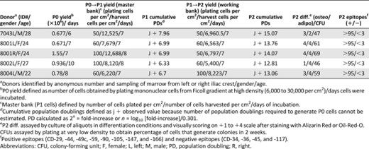 In-process data on master banks and working banks of human mesenchymal stem/stromal cells from bone marrow prepared with a protocol to keep the cultures enriched for rapidly self-renewing, progenitor-like cells
