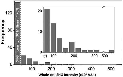 Histogram of the whole-cell second harmonic generation (SHG) intensity with a 30 × 106 intensity increment. The dashed line indicates the 30 × 106 intensity threshold that will filter ~70% of cells, including all pacemaker-like cells. The remaining 30% of gated cells (inset plot) are all atrial- and ventricular-like cells