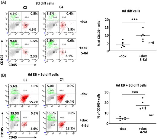More CD105+ cells were detected in the Zbtb46-primed samples. A, Representative flow plots and statistics show the percentage of the CD105 single positive populations of 8-day differentiated, Zbtb46-inducible cell clones. B, Representative flow plots and statistics show the percentage of the CD105 single positive populations of 9-day cultured embryoid body derived (6d EB + 3d diff), Zbtb46-inducible cell clones. Cells were treated with doxycycline for the indicated time period