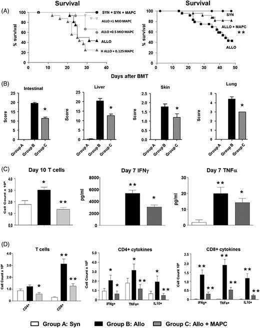 Multipotent adult progenitor cell (MAPC) infusions improve survival, reduce graft-vs-host disease (GvHD) severity, and attenuate T-cell expansion and pro-inflammatory cytokine induction after experimental allogeneic blood and marrow transplantation (BMT). Irradiated B6D2F1 mice received syngeneic or allogeneic BMT and subsets of allogeneic mice received MAPC infusions on D1 and D4 as described in Methods. A, MAPC infusions improve survival following allogeneic BMT in a dose-dependent manner. Data represent three combined transplant experiments (n = 15-30 mice per experimental group; **P < .01 allo-control vs allo + MAPC by Mantel-Cox log-rank test). B, Next, organs harvested from transplant recipients on D10 were analyzed for GvHD severity. Improved survival associates with decreases in target organ histopathology (n = 4-6 mice per experimental group; *P < .05 by Mann-Whitney test). C, Spleens (D10) and whole blood (D7) were collected from transplant recipients. MAPC infusions result in decreased donor T-cell expansion and serum levels of IFNγ and TNFα (n = 4-6 mice per group; *P < .05; **P < .01 by Mann-Whitney test). D, Further evaluation of splenic T-cell subsets showed that MAPCs regulate the expansion and cytokine expression of both CD4+ and CD8+ populations. Data are expressed as mean ± SEM and are from one of three representative independent experiments (n = 4-6 mice per group; *P < .05; **P < .01 by Mann-Whitney test)