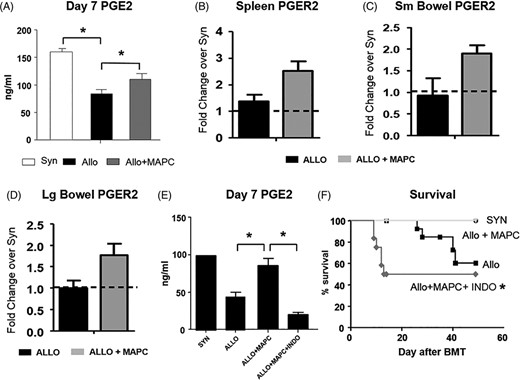 Multipotent adult progenitor cell (MAPCs) increase PGE2 concentration in the serum and PGER2 expression in target organs of graft-vs-host disease (GvHD) after experimental allogeneic blood and marrow transplantation (BMT). Contribution of PGE2 to MAPC immune regulation in vivo. A, PGE2 levels are significantly elevated at D7 in allogeneic BMT recipients receiving MAPCs, which correlates with reduced systemic and target organ GvHD (Figure 1). B-D, MAPC administration is also associated with a trend in increased mRNA expression of PGER2 in the spleen and the small and large bowel. E, Administration of IM (20 μg via intraperitoneal injection) on D1 to D7 after BMT to allogeneic BMT recipients receiving 1 × 106 MAPC on D1 and D4 significantly reduces PGE2 levels on D7, and, F, abrogates the survival advantage associated with MAPC infusions. Data shown are combined from one of two separate (PGE2) or two combined (survival) independent BMT experiments (Data are expressed as means ± SEM for PGE2 levels. n = 4-6 per group for PGE2 and 8-16 for survival experiments, *P < .05 and **P < .01.)