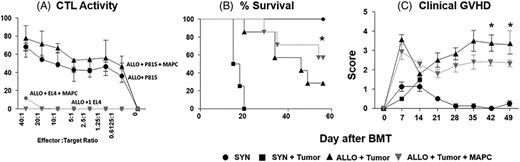 Multipotent adult progenitor cell (MAPCs) attenuate graft-vs-host disease (GvHD) without decreasing graft-vs-leukemia (GvL) activity in vitro and in vivo. B6 cytotoxic T lymphocytes (CTLs) were mixed with 3H-labeled target cells with and without MAPCs. CTL activity was calculated from spontaneous 3H release at various ratios of CTL to 3H-labeled target cell. A, Co-culture with MAPCs has no effect on cytolytic activity of activated B6 CTL. Irradiated B6D2F1 mice received syngeneic or allogeneic blood and marrow transplantation (BMT) and subsets of allogeneic mice received P815 mastocytoma cells (H-2d) in the BMT inoculum on D0 followed by MAPC infusions (or saline) on D1 and D4 as described in Methods. B, MAPC infusions improve leukemia-free survival following allogeneic BMT. C, MAPC infusions reduce systemic GvHD following allogeneic BMT as measured by GvHD clinical scores. Data are expressed as mean ± SD (CTL assay) or SEM (clinical score) and represent one of three similar experiments (CTL assay) or two combined transplant experiments (n = 10-20 mice per experimental group; *P < .05 allo-control vs allo + MAPC by Mantel-Cox log-rank test)
