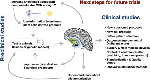 An overview of the iterative process needed to address current biological and clinical challenges in order to improve reliability of future cell therapy trials in Huntington's disease