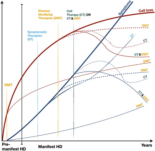 Illustration of the theoretical impacts of various classes of therapies on the course of brain cell loss (red lines) and clinical symptoms (blue lines) in Huntington's disease. Symptomatic therapies (ST), the only ones currently available, may modify the progress of symptoms, but do not modify the course of the underlying condition. Current research is aimed at generating disease-modifying therapies (DMT) to slow or halt the disease process, and could theoretically prevent disease onset if given in the premanifest period (shown as separate lines on the schematic). Cell therapy (CT) is the only means envisaged to date to reverse the process of cell death and recover lost functions. The combination of CT and DMT is feasible and could amplify the beneficial effect of both strategies