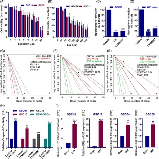 ERβ agonists reduced the cell viability, neurosphere formation, self-renewal, and promoted the apoptosis of GSCs. A and B, CD133 positive GSC10 and GSC11 cells were treated with vehicle or indicated concentrations of LY500307 or Liq for 72 hours and the cell viability was determined using CellTiter-Glo luminescence assay. C and D, CD133 positive GSC11 and U251-GSCs were seeded in 24 well plates (100/well) and treated with vehicle or LY500307 or Liq for 7 days and the number of neurospheres were counted. E, U251-GSCs that stably express EV or ERβ-FLAG vector were seeded in decreasing numbers (50, 20, 10, 5, and 1 cell/well) in 96 well plates and number of wells containing neurospheres per each plating density was recorded after 14 days. F and G, CD133-positive GSC10 and GSC11 cells were seeded in decreasing numbers (50, 20, 10, 5, and 1 cell/well) in 96 well plates and treated with vehicle, or LY500307 or Liq and number of wells containing neurospheres per each plating density was recorded after 14 days. Stem cell frequency between control and treatment groups was calculated using ELDA software. H, GSCs were treated with vehicle or LY500307 for 48 hours and the caspase3/7 activity was determined using caspsae3/7-Glo assay. I, GSCs were subjected to forced differentiation by culturing in the presence of 10% FBS for 7 days. ERβ expression was examined in stem and differentiated GSCs using qRT-PCR. Data are represented as mean ± SE. **P < .01; ***P < .001