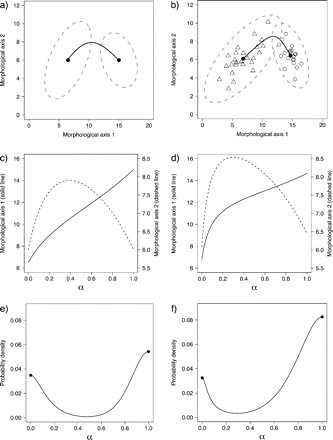Numerical example of multivariate normal mixtures and tolerance regions. a) Two multivariate normal distributions describing hypothesized species with parameters chosen for illustrative purposes  are represented by ellipses delineating regions including a proportion to 0.95 of each statistical population and the respective multivariate (closed circles). The black continuous line that joins both multivariate means is the ridgeline manifold. b) Simulated random samples from each of the statistical populations in (a). Triangles:  Estimated (as opposed to actual) multivariate means are shown as closed circles and the estimated ridgeline manifold as a black continuous line. The dashed lines delimit tolerance regions for proportion β = 0.9 and confidence level γ = 0.95. c) Points along the ridgeline manifold in (a) correspond to values of variable α that range from 0 to 1 and map onto morphological space as shown by the two ordinates representing morphological Axes 1 and 2. d) Relationship between α and morphological Axes 1 and 2 as in (c) but based on estimated values from the random samples in (b). e) pdf evaluated at various points corresponding to values of α along the ridgeline manifold in (a). f) Estimated pdf evaluated at various points corresponding to values of α along the ridgeline manifold in (b).