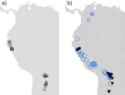 Outline of Northwestern South America and collection localities for the herbarium specimens included in the morphological samples of hypothesized Escallonia species. a) Example A, □ = Escalloniamicrantha, ▵ = Escalloniamillegrana. b) Example B: = Escalloniadiscolor, • = Escalloniapiurensis, circ = Escalloniaresinosa, = Escalloniaschreiteri.