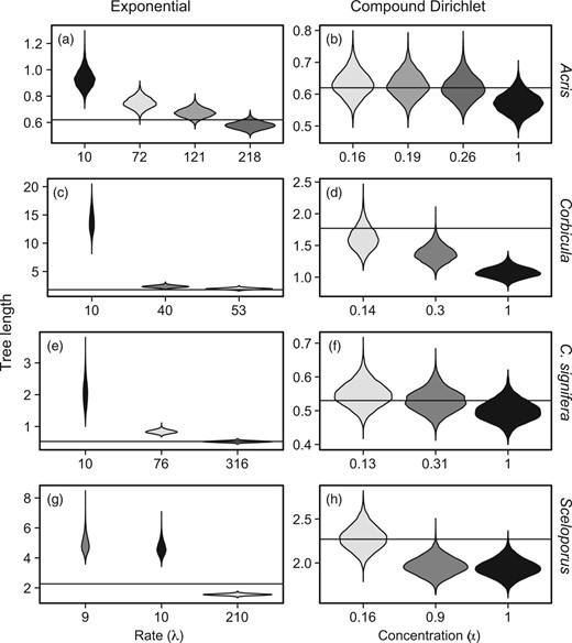 Violin plots of tree length (TL) posterior density for a–b) Acris, c–d) Corbicula, e–f) Crinia signifera, and g–h) Sceloporus. Plots resulting from default priors have a black fill whereas those from informed priors have a gray fill. Shades of gray within a row indicate informed priors derived from the same outside data. ML TL estimates are indicated with a solid horizontal line. Results from exponential priors are in the left column (a, c, e, and g) and results from compound Dirichlet priors are in the right column (b, d, f, and h).