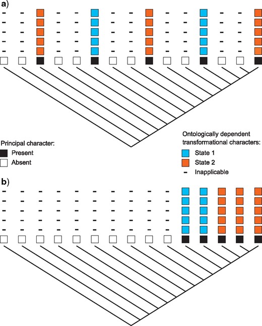 Effect of counting method on tree preference. If no cost is given for transitions between the inapplicable symbol and any applicable states, transformations between losses and gains of the principal character will be inadequately penalized, then trees with multiple gains of the principal character (a) will be favored; if transformations between applicable and inapplicable states are penalized, then trees in which the principal character evolves exactly once (b) will be favored.