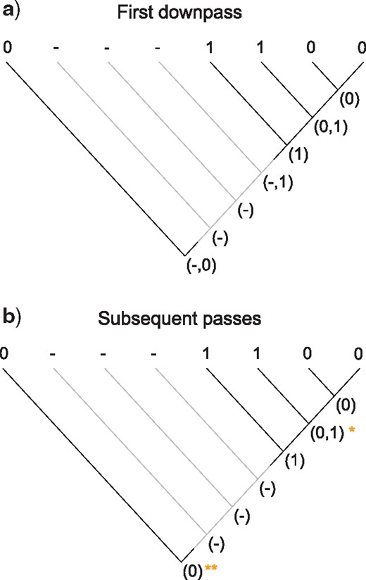 Scoring of a simple tree with inapplicable data. A principal character is present in two regions of the tree (black lines). A transformation from state 1 to state 0 adds one step to tree length. A second occurrence of state 0 represents a case of homoplasy and should also contribute to tree score. The first downpass of our algorithm (a) generates possible reconstructions of each node; the state reconstructions generated in the first uppass happen not to be modified by further passes. The second downpass calculates this character’s contribution (+2) to the tree’s score, reflecting one transformation (at *) and one additional region (at **).