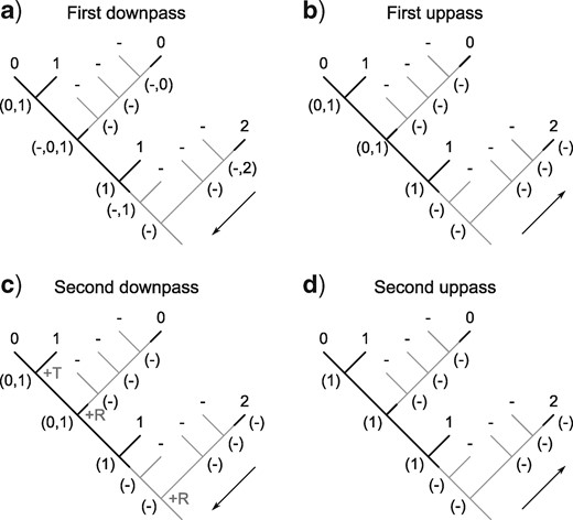 Our algorithm performs an initial downpass (a) and uppass (b) to assign each node to an applicable or inapplicable region. A second downpass (c) counts standard Fitch transformations (+T) and additional applicable regions (+R), the latter counted at nodes whose left descendant leads to a different applicable region than their right descendant.