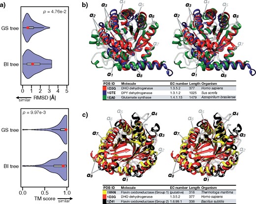 Assessment of the GS tree by 3D structural analysis of TIM-barrel superfamily proteins. a) Violin plots of root-mean-square deviations (top) and TM scores (bottom) averaged over every protein pair in every subtree of the GS and BI trees. The red points and gray boxes indicate the averages and standard deviations, respectively. b) A stereo (parallel) view of 3D structural alignments of a DHO dehydrogenase (red, 4OQV), DPY dehydrogenase (blue, 1GTE) and glutamate synthase (green, 1EA0). Note that $\alpha $$_{1}$–$\alpha $$_{8}$ are characteristic alpha-helices of the ($\beta \alpha $)$_{8}$-barrel structure. Black letters indicate helices that showed particularly large differences in the 3D structural alignment. c) A stereo (parallel) view of 3D structural alignments of flavin oxidoreductase (group 1) (yellow, 1VHN), DHO dehydrogenase (red, 4OQV), and flavin oxidoreductase (group 2) (black, 1Z41).