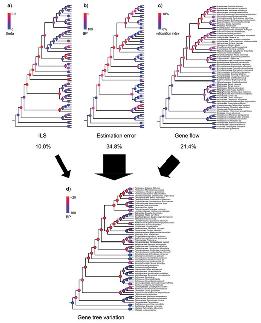 Relative contributions of ILS, estimation error, and gene flow across Malpighiales. a) ILS. Nodes are colored by inferred population mutation parameter theta. b) Gene tree estimation error. Nodes are colored by BP values, which represent percentage of recovered nodes from simulation (see Materials and Methods section). c) Gene flow. Nodes are colored by Reticulation Index. d) Gene tree variation. Nodal BPs reflect nodal recovery in gene trees. Percentages of gene tree variation ascribed to ILS, estimation error, and gene flow are indicated by black arrows.