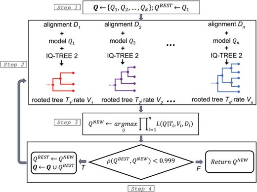 The flowchart of nQMaker to estimate a time nonreversible model from a collection of multiple protein sequence alignments.