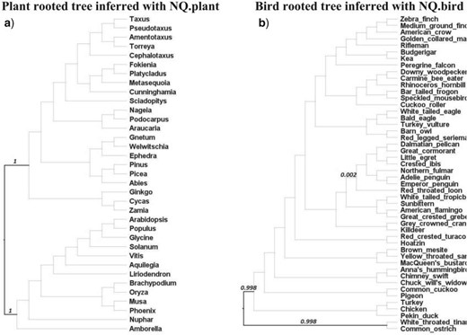The plant-rooted tree of 35 species (a) reconstructed from a concatenated protein alignment of 1308 loci using IQ-TREE 2 with the NQ.plant model. The bird-rooted tree of 48 species (b) reconstructed from a concatenated protein alignment of 8295 loci using the NQ.bird model. Bold branches are branches contained in the confidence set of the AU test, numbers displaying on branches are the rootstrap values greater than zero.