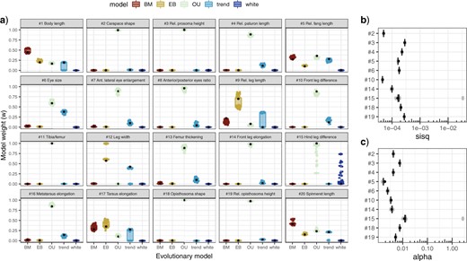 Fit of alternative evolutionary models for different morphometric traits. Plots report the variation of results from a sample of 100 alternative phylogenies (considering the uncertainty in divergence time estimation and local topology). Black dots indicate the results obtained from analyses using the consensus tree (as reported in Table 1). a) AICc weights per trait. b) $\gamma ^{2}$ of fitted Ornstein–Uhlenbeck models for 10 exemplary traits. c) $\alpha $ of fitted Ornstein–Uhlenbeck models for 10 exemplary traits (color version online only).
