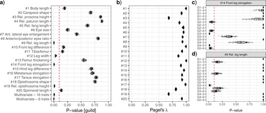 Phylogenetic signal and comparison of uni- and multi-variate trait means between guilds. Plots report the variation of results from a sample of 100 alternative phylogenies (considering the uncertainty in divergence time estimation and local topology). Black dots indicate the results obtained from analyses using the consensus tree (as reported in Table 2). a) $P$-value of phylogenetic ANOVAs and MANOVAs; the red (dashed vertical) line indicates a significance level of 0.1. b) Phylogenetic signal. c and d) $P$-values of pairwise comparisons for traits $\#$ 9 and $\#$ 14; the red (dashed vertical) line indicates a significance level of 0.1 (color version online only).