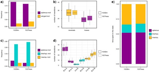Stochastic character mapping leveraging 2-states and 3-states coding schemes: the frequency of the root state is represented in a) and c). b) and d) describe the average number of inferred transitions. e) Represents the time spent in each state for the 3-states character-coding scheme. In b) and d), boxplots are colored according to transition end states: color codes related to wing conditions as in a) and c) 100Sim refers to stochastic character mapping analyses with 100 simulations on the PC-Tree; 100Trees refers to the same analyses on 100 randomly sampled FC-Trees with a single simulation.