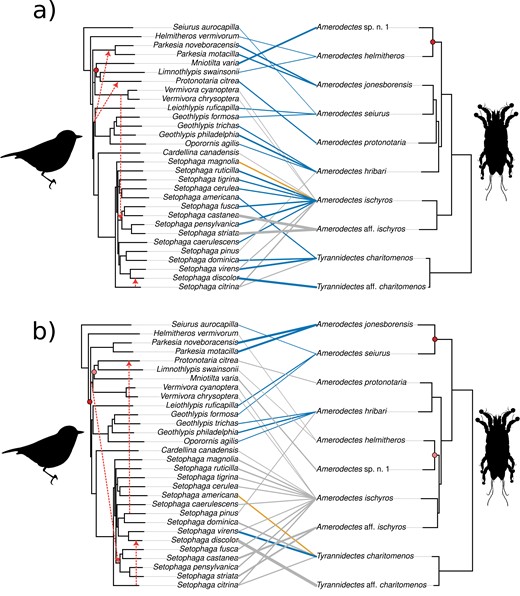 Tanglegrams illustrating the evolutionary history between New World warbler (parulid) hosts (left) and their Amerodectes and Tyrannidectes feather mites (right). The mite phylogenies were estimated from (a) eleven concatenated mitochondrial genes and (b) cox1-only using maximum likelihood. The host phylogeny is from Lovette et al. (2010) in both (a) and (b). Line colors indicate the level of the significance of each host–mite link estimated by ParaFitLink1 after correction (blue: significant; orange: fluctuation between 100 ParaFit runs; gray: nonsignificant). Line thickness is inversely proportional to the residuals as estimated by PACo, multiplied by a factor of two for illustrative purposes (thicker lines indicate higher contribution to the overall congruence). Red shaded circles indicate cospeciation events recovered from JANE reconciliation analyses, with codivergences filled with the same level of shading. Red dotted arrows indicate host switches recovered from JANE reconciliation analyses.