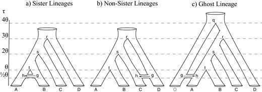 Species networks used for simulations. a) Gene flow between sister lineages: species A and B diverged at time τt, and introgression occurred from B into A at time τh. b) Gene flow between non-sister lineages (from species D into C at time τh. c) Gene flow from an unsampled ghost lineage O (shown in gray) into species A. Divergence time (τ) is given in units of population size (θ). Population size is constant among all branches. Node names are shown with lower-case letters. The direction of introgression is from node g to h, indicated by the arrow. Simulations under the IM model use the same species trees, but with migration occurring after species divergence at the constant rate of M = Nm migrants per generation.