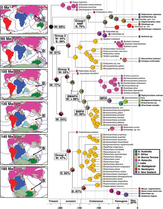 Ancestral area estimations from the DEC-model biogeography analysis. Extant taxa are shown in bold. Colored squares at terminals represent the distribution of terminal taxa. Pie charts at nodes represent the relative likelihood (RL) of the estimated ancestral range. Deeper nodes also show the summed RL for being widespread (W, occurring in the Holarctic and at least 2 other Gondwanan areas), or southern (S, occurring in at least 2 Gondwanan areas). Dashed lines mark the different time slices. Asterisks (*) show range expansion or dispersal from the BT into the Holarctic. Panels (modified from Matthews et al. 2016) show the area position through time and the present day coastlines; areas are colored according to the legend, Antarctica is light green, and the approximate extent of the continents in brown; arrow showing the BT. Scale = millions of years before present.