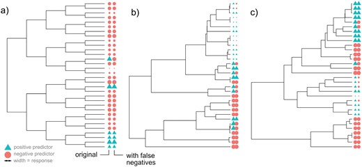 Example simulated phylogenies in the control studies. In each case, the tip labels give the true states (left) and observed states after false negative observations of the predictor (right). In this example, predictor evolution is irreversible, so that once the positive value is acquired it is never lost. Color gives predictor value (circles negative, triangles positive); the size of each symbol gives the response value. (A) A symmetric, balanced tree with no influence of predictor on response. (B and C) Birth–death trees with different death parameters, with a strong influence of predictor on response.