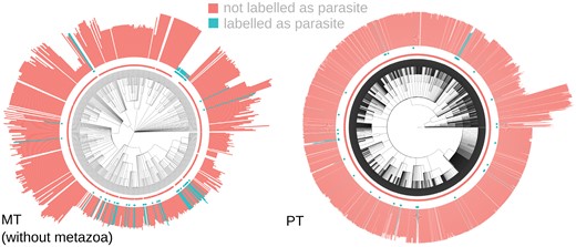 Example oDNA data. (left) mtDNA, without metazoa for clarity; (right) ptDNA. Colour (and central point markers) give the predictor value (parasitism positive or negative). The length of bars gives oDNA gene count.