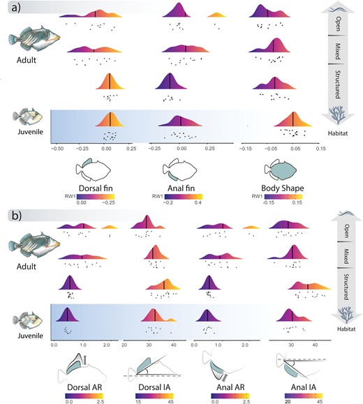 Ridgeline plots depicting the distribution of (a) shape and (b) other locomotor trait data relative to habitat type between adults and juveniles. Color gradients in each panel correspond to values from low (dark) to high (bright). Vertical bars within each distribution indicate the mean value of each trait, dots underneath each distribution represent the raw data values.