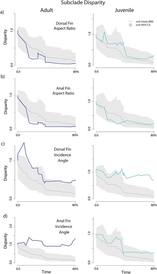 Subclade disparity through time for adults (dark/blue), juveniles (light/aqua), and a null expectation of disparity based on Brownian motion (gray) for (a) dorsal fin aspect ratio; (b) anal fin aspect ratio; (c) dorsal fin incidence angle; and (d) anal fin incidence angle. Dotted gray line indicates the mean subclade disparity through time across the Brownian motion simulations.