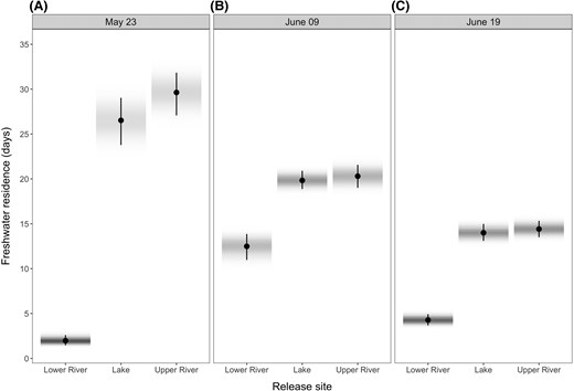Predictions of freshwater residence time by release site and date: (A) May 23, (B) June 09, and (C) June 19. The farther the fish were released from the estuary, the longer was their residence time. Fish released in the lake and upper river showed a decrease in residence time with successive release dates. In contrast, fish released in the lower river exhibited shorter residence times on the early release date, followed by an increase on the middle date, before decreasing again with the final release. Predictions were made assuming a fish with fork length equal to the average in the data set (i.e., 82.7 mm). Circles represent the median of the posterior distribution of predictions, and the bar shows their 95% highest posterior density intervals. Shading represents the density of the posterior distributions of predictions (darker shades represent highest densities).